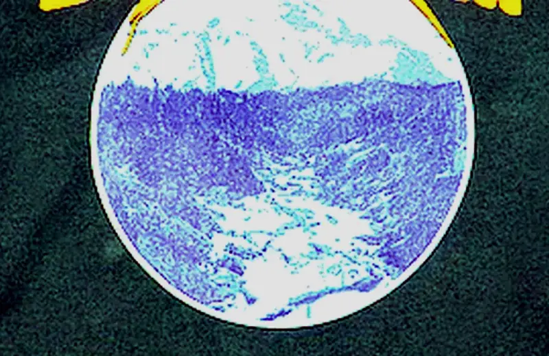 Inner Wave