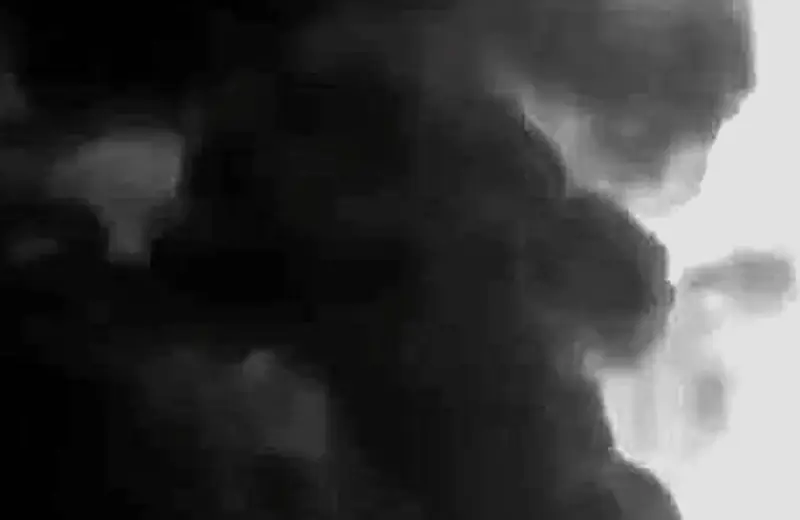Orchestra Noir